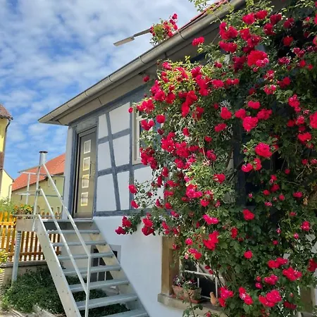 Ferienparadies Verweilzeit - Keine Monteure Oder Jugendgruppen Apartament
